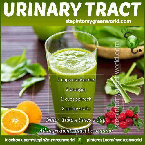 Uti Smoothie natural faster healing of Urinary Tract infections and ...