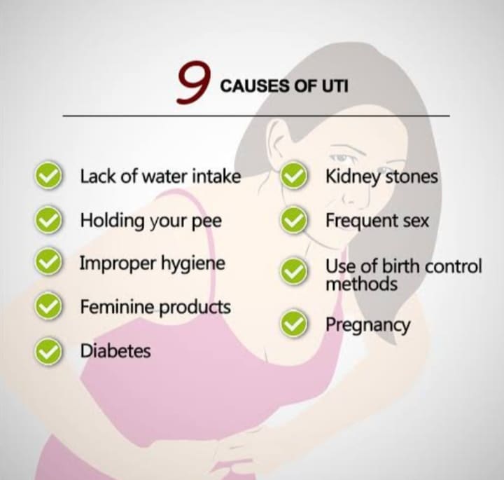 What is Urinary Track Infections â NandiniDoctors