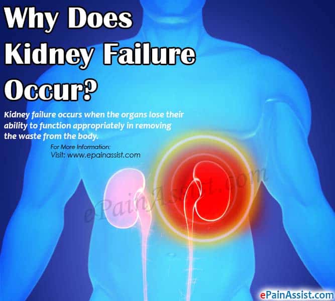 Why Does Kidney Failure Occur?